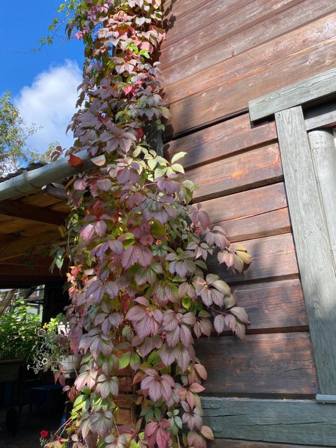 Садиба "У Чубчика" Hotel Yaremche Exterior photo