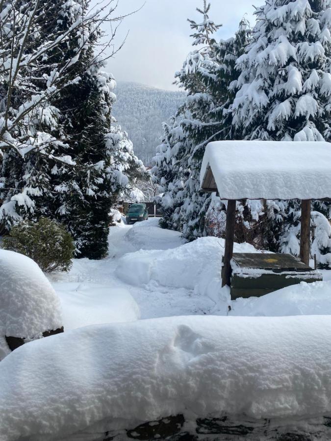 Садиба "У Чубчика" Hotel Yaremche Exterior photo